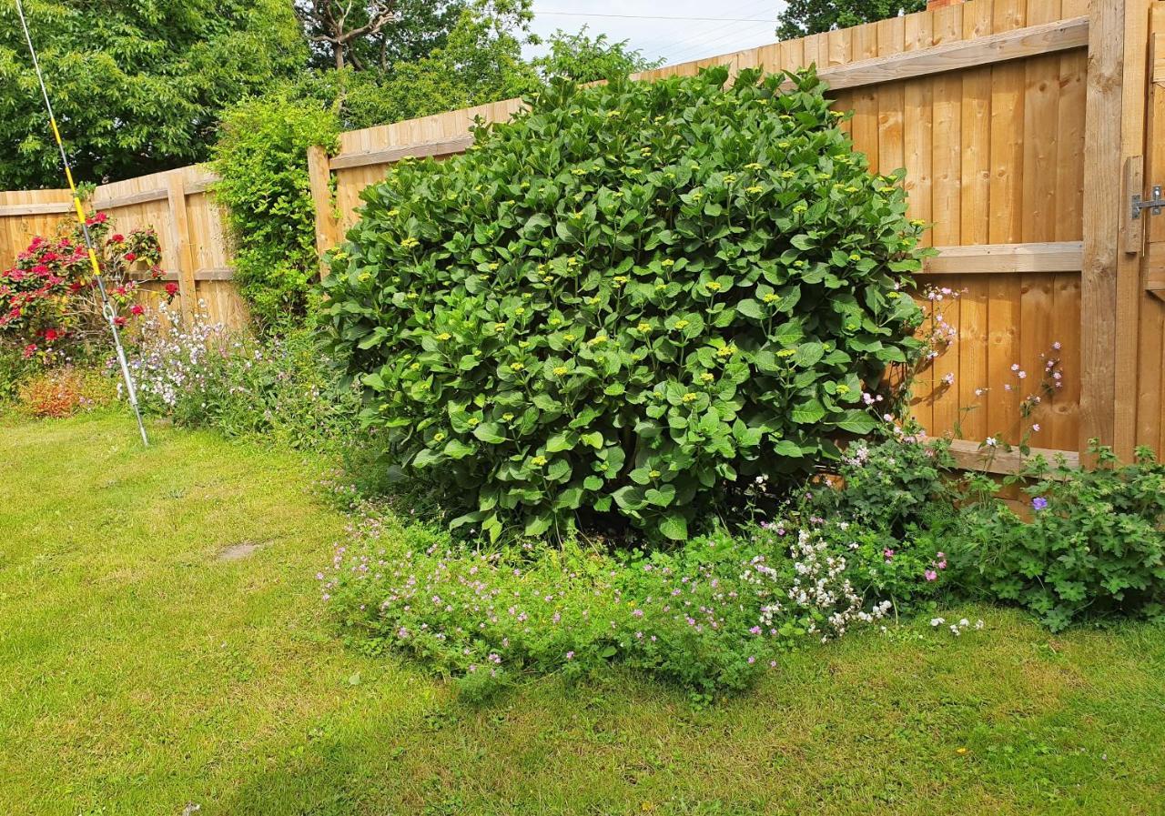 Forest Farm Papplewick Nottingham - Spacious Self-Contained Rural Retreat! Екстериор снимка
