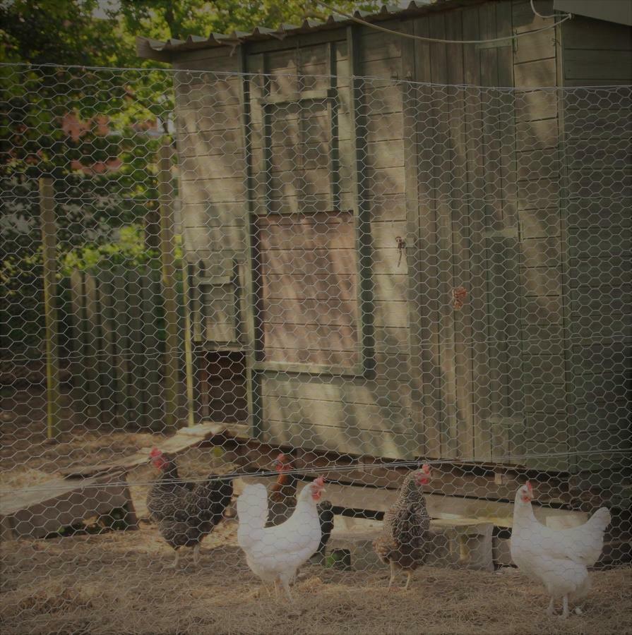 Forest Farm Papplewick Nottingham - Spacious Self-Contained Rural Retreat! Екстериор снимка